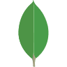 MongoDB technology logo